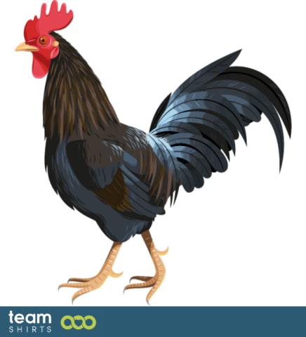 Rooster