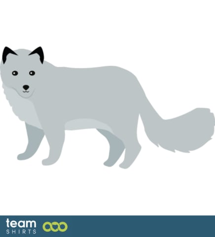 Baby Wolf