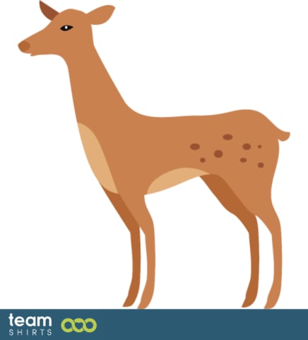 fawn