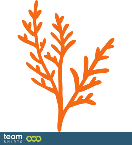 grass plant
