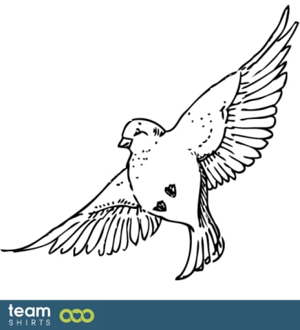 sparrow