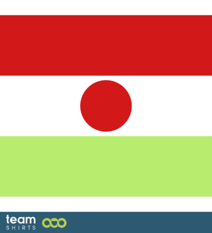 flag niger
