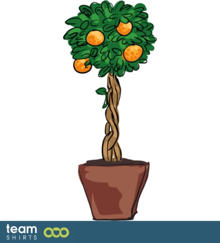 orange tree