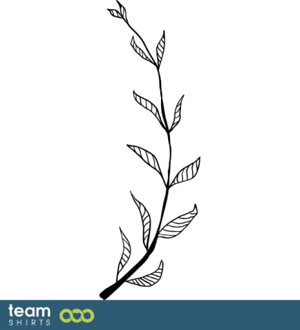 Branch
