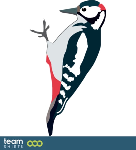 woodpecker