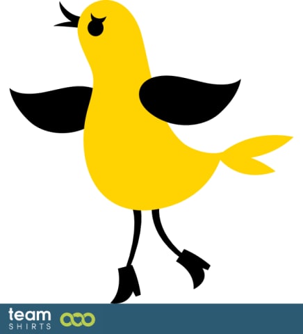 little bird
