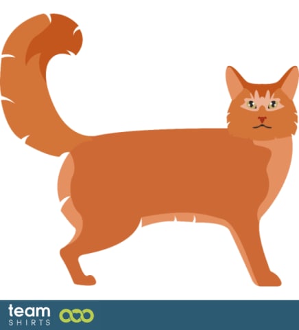 08 cat vectorstock 10334020