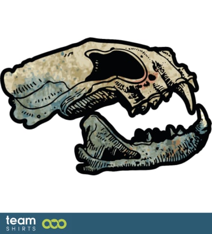 cat skull
