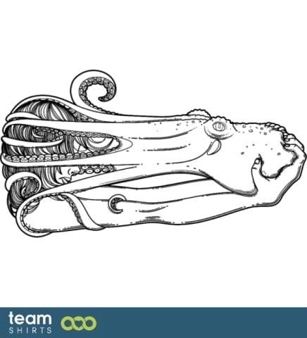 octopus