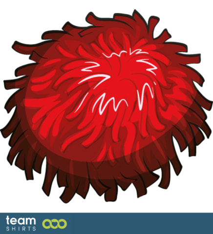 pompoms