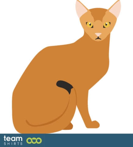 01 cat vectorstock 10334020