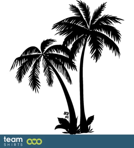 palmtrees
