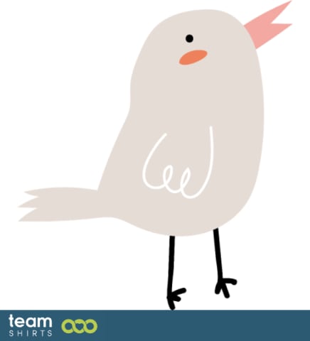 little bird