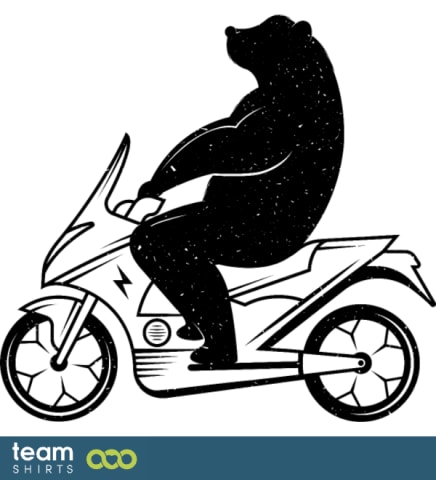 Bear on a scooter