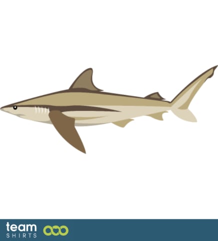 shark