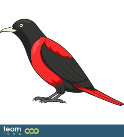 maroon oriole