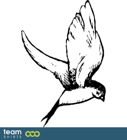 swallow