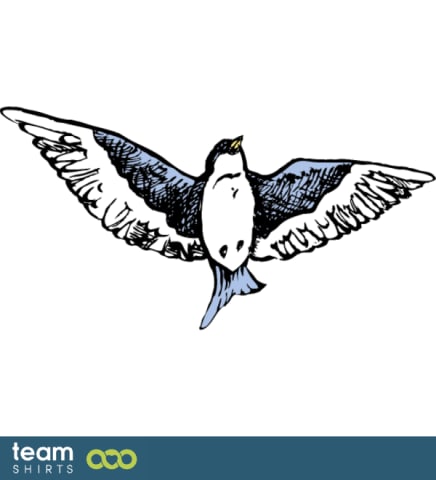 swallow