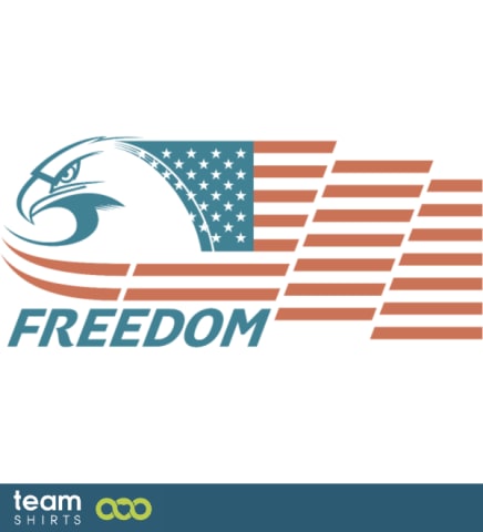 USA eagle