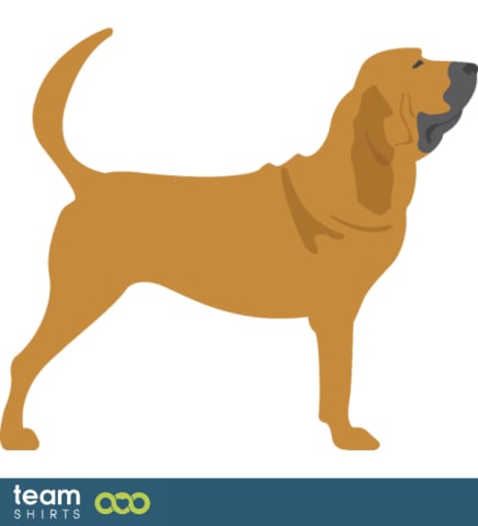 Animals vectorstock 9478018 all model series: show dog 003 hunting dog