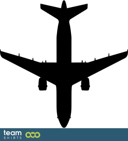 A 319 airplane