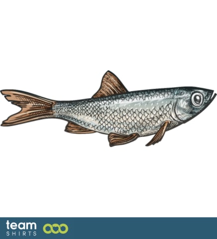 anchovy