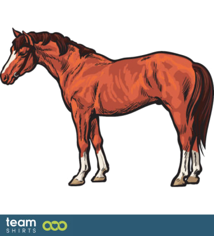 horse
