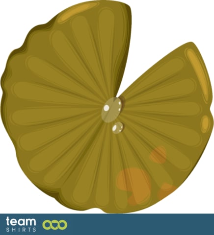 Lotus leaf