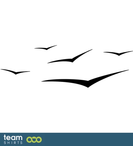 birds