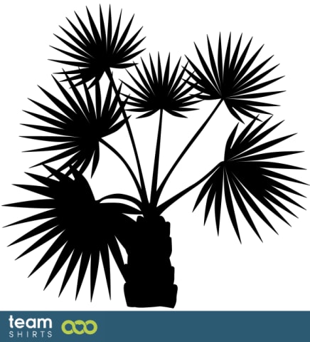 palmtree