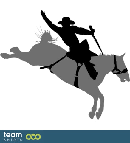 horse cowboy