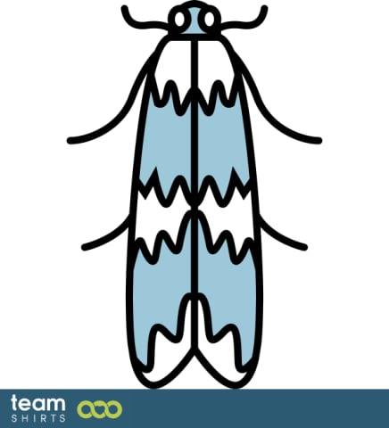 Moth