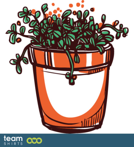indoor plant