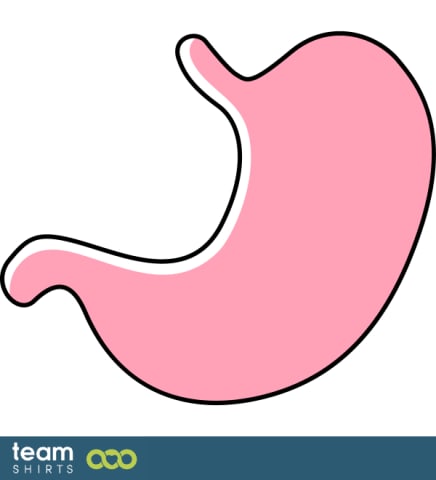 Stomach