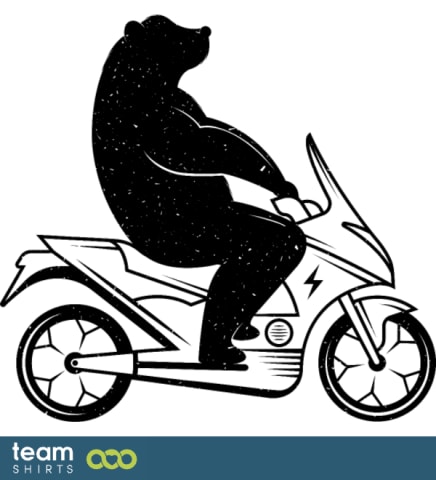 Bear on a scooter