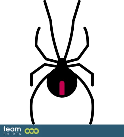 spider