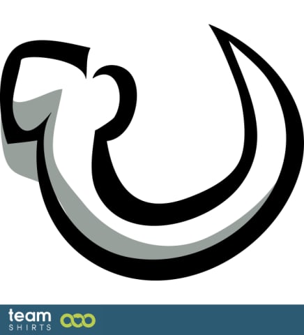 Bone hook