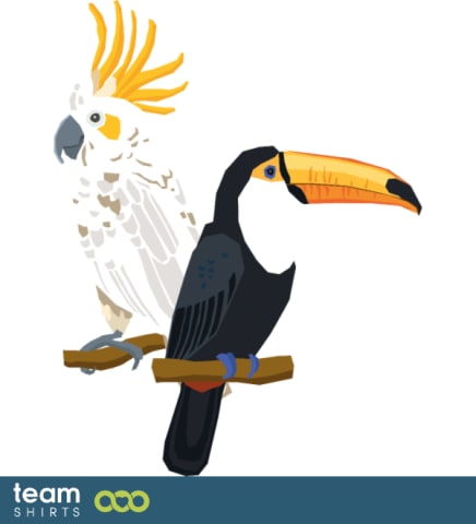 toucan & cacadoo