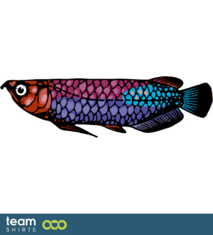 exotic fish