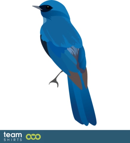 bluebird