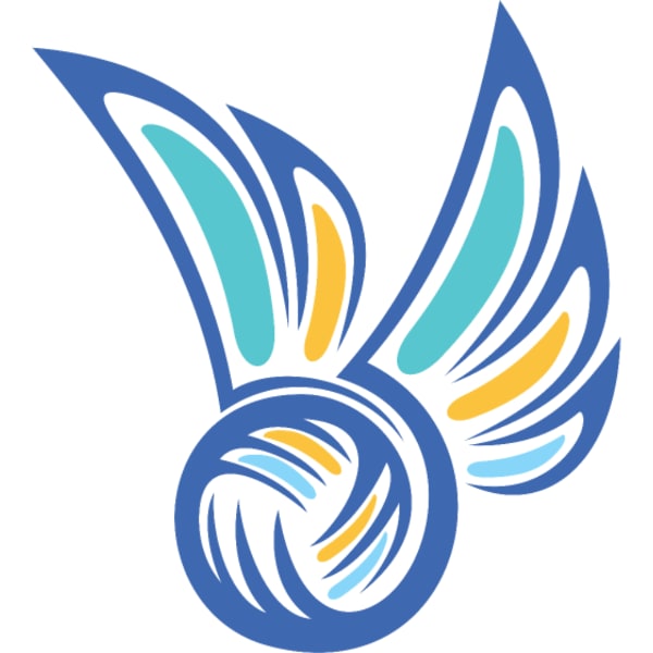 Volleyball kit designer Custom Volleyball Jerseys TeamShirts