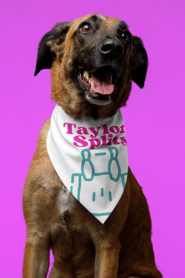TeamShirts custom dog bandanas