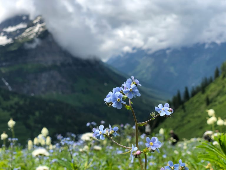 aktivurlaub naturschutz