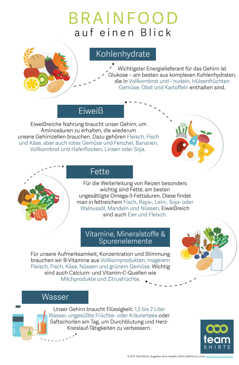 lerntipps brainfood, infografik