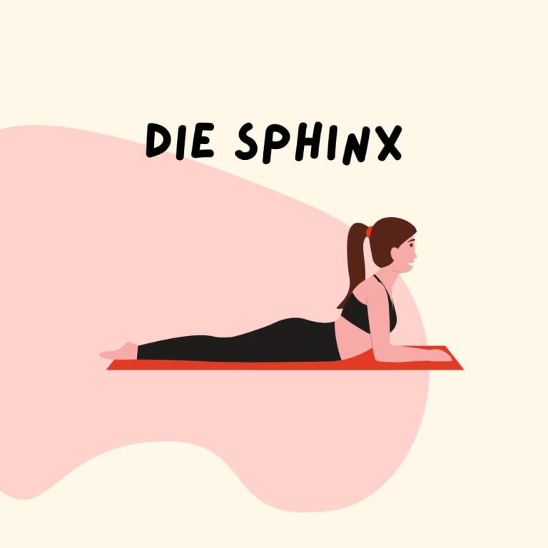yin-yoga die sphinx illustration