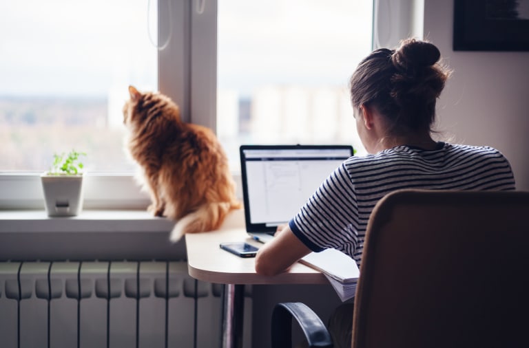 homeoffice einricten, frau mit katze am schreibtisch