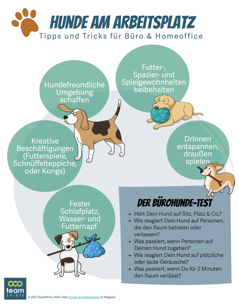 hunde im büro tipps infografik