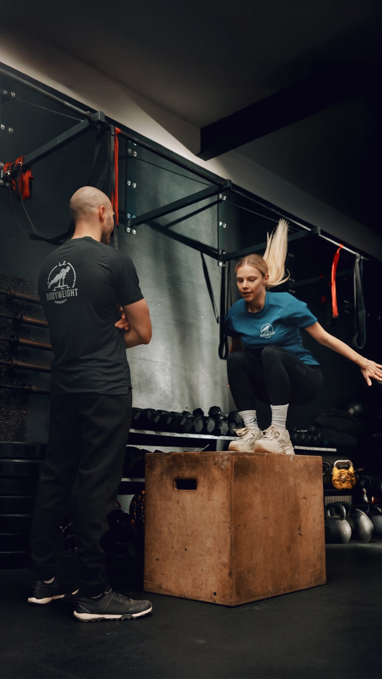 step aerobic übungen 