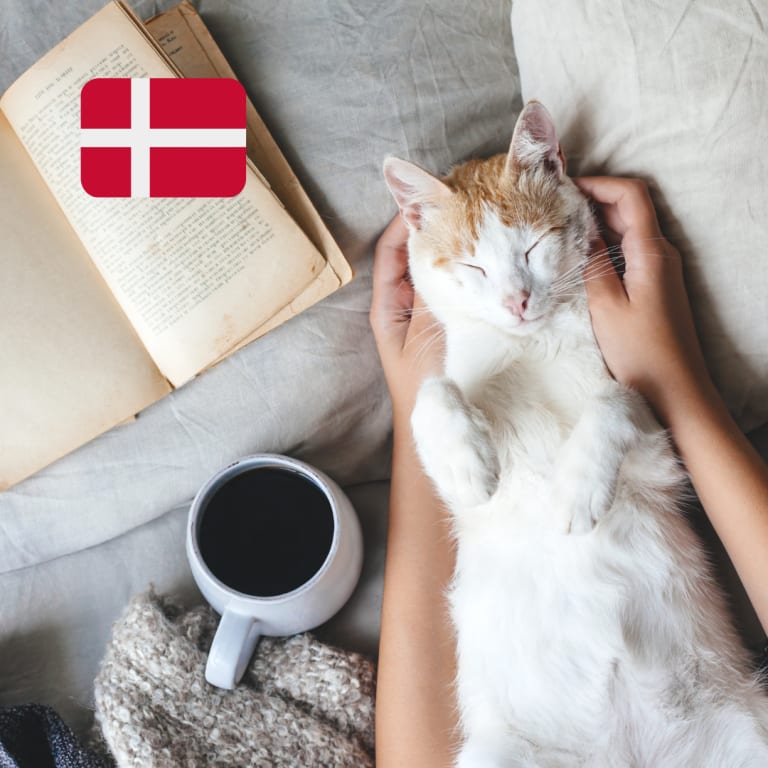stress bewältigung hygge, katze buch und tee auf bett